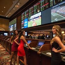 m77casino togel live blackjack table interface on mobile browser